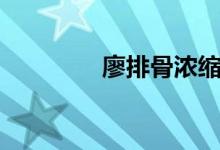 廖排骨浓缩卤汁（廖排骨）