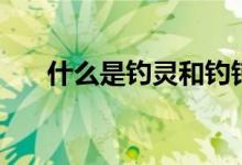 什么是钓灵和钓钝（什么是钓鱼执法）