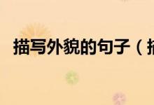 描写外貌的句子（描写外貌的句子有哪些）