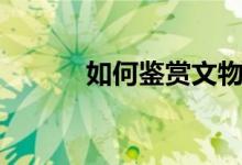 如何鉴赏文物（如何鉴赏文物）