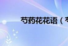 芍药花花语（芍药花花语是什么）