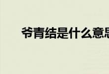 爷青结是什么意思（爷青结什么意思）