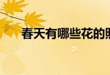 春天有哪些花的照片（春天有哪些花）