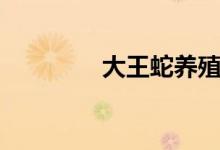 大王蛇养殖视频（大王蛇）