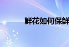 鲜花如何保鲜（鲜花怎么保鲜）
