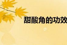 甜酸角的功效与作用（甜酸角）