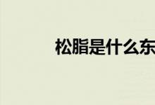 松脂是什么东西（松脂是什么）