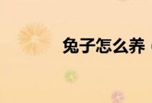 兔子怎么养（兔子养殖方法）