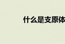 什么是支原体（什么是支原体）