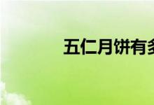 五仁月饼有多硬（五仁月饼）