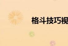格斗技巧视频（格斗技巧）