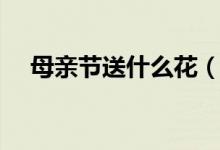 母亲节送什么花（母亲节送花送什么花）