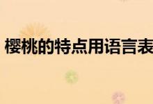 樱桃的特点用语言表达（樱桃的特点是什么）