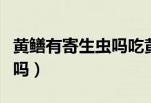 黄鳝有寄生虫吗吃黄鳝安全吗（黄鳝有寄生虫吗）
