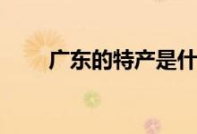 广东的特产是什么（广东的特产是）