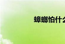 蟑螂怕什么（蟑螂怕啥）