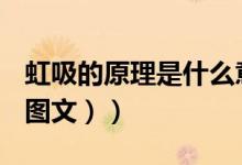 虹吸的原理是什么意思（虹吸的原理是什么（图文））