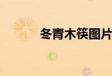 冬青木筷图片（冬青木烙花筷）