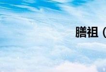 膳祖（shanzu）