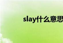 slay什么意思（slay什么意思）