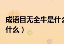 成语目无全牛是什么意思（成语目无全牛是指什么）