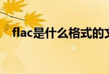 flac是什么格式的文件（flac是什么格式）
