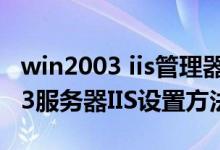 win2003 iis管理器怎么打开（windows2003服务器IIS设置方法）