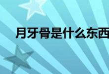 月牙骨是什么东西（月牙骨是什么意思）