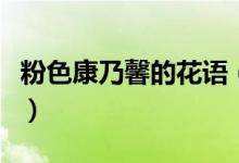 粉色康乃馨的花语（粉色康乃馨的花语是什么）