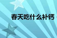 春天吃什么补钙（春天吃什么比较好）