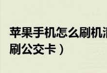 苹果手机怎么刷机清除id密码（苹果手机怎么刷公交卡）