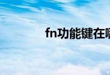fn功能键在哪里（fn功能键）