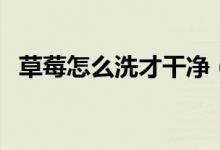 草莓怎么洗才干净（草莓的正确清洗方法）