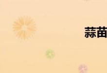 蒜苗（蒜苗）