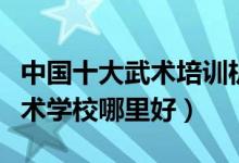 中国十大武术培训机构（武术培训班有哪些武术学校哪里好）