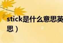 stick是什么意思英语怎么说（stick是什么意思）