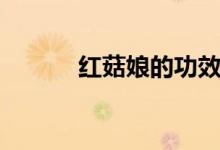 红菇娘的功效与禁忌（红菇娘）