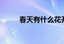 春天有什么花开（春天开什么花）