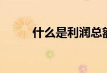 什么是利润总额（什么是利马豆）