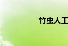 竹虫人工养殖（竹虫）