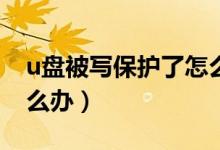 u盘被写保护了怎么处理（U盘被写保护该怎么办）