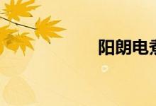 阳朗电煮锅（阳朗）