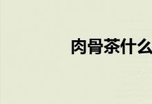 肉骨茶什么意思（肉骨茶）