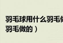 羽毛球用什么羽毛做的比较好（羽毛球用什么羽毛做的）