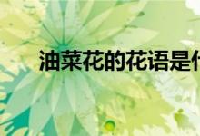 油菜花的花语是什么（油菜花的花语）