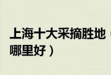 上海十大采摘胜地（上海采摘园推荐水果采摘哪里好）