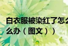 白衣服被染红了怎么处理（白衣服被染红了怎么办（图文））