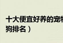 十大便宜好养的宠物狗（十大便宜好养的宠物狗排名）