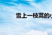 雪上一枝蒿的小说（雪上一枝蒿）