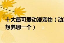十大最可爱动漫宠物（动漫中超可爱的宠物盘点这些萌宠你想养哪一个）